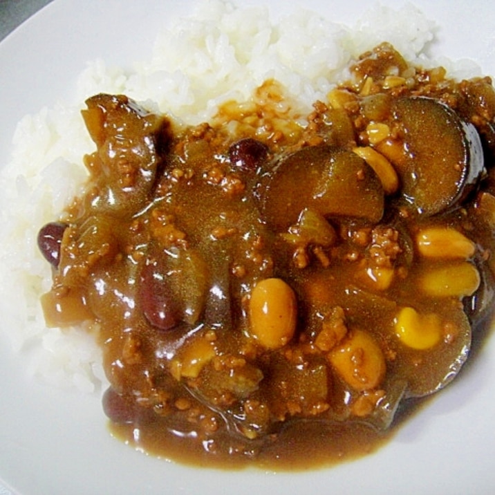 茄子と豆のカレー